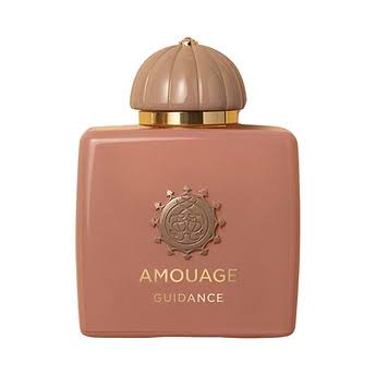 amouage guidance scents by claire 